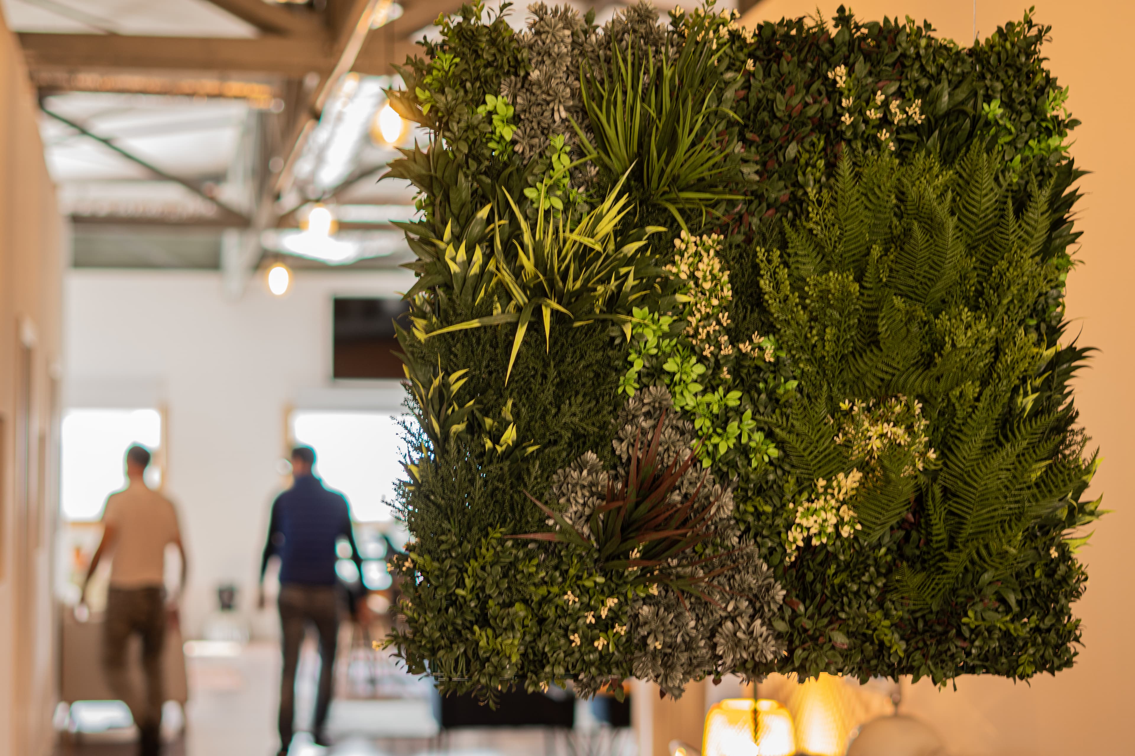 Tale House background